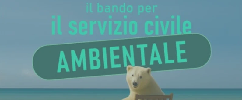 Apri la grafica del bando per il Servizio Civile Ambientale